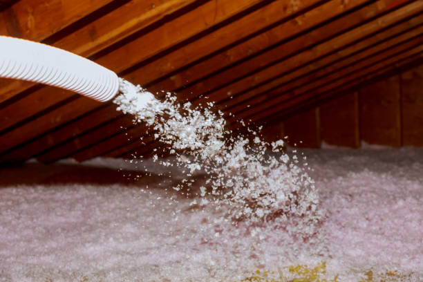 Best Fiberglass Insulation  in Lake Holiday, IN