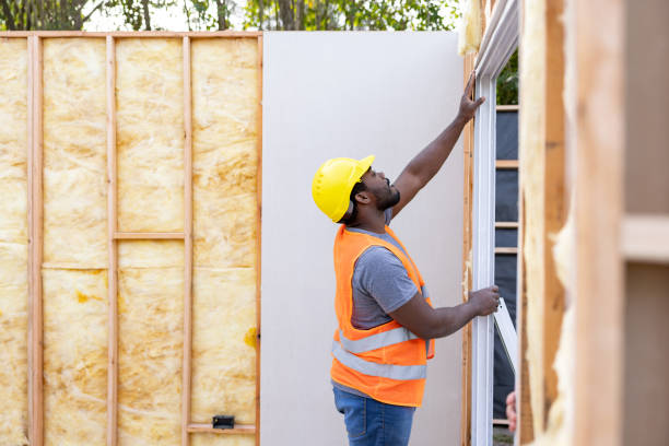Best Cellulose Insulation  in Lake Holiday, IN